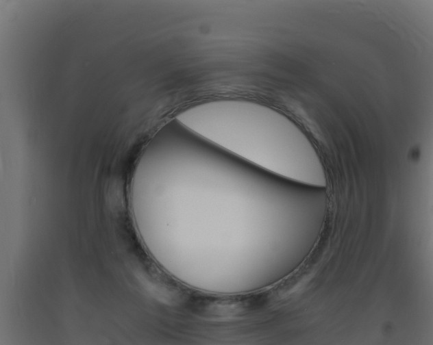 X0000093730213200710160821