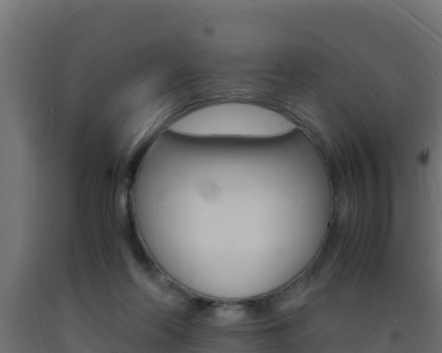 X0000093730214200710160821