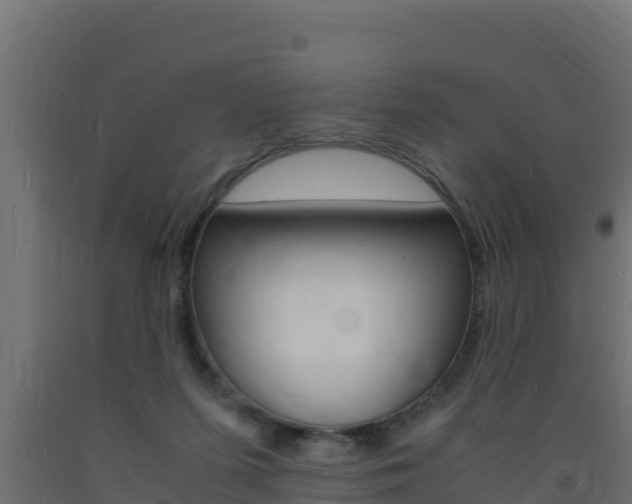 X0000093730215200710160821