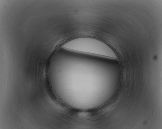 X0000093730216200710160821
