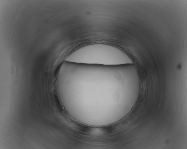 X0000093730218200710160821