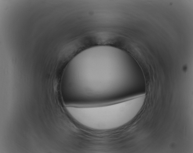 X0000093730219200710160821