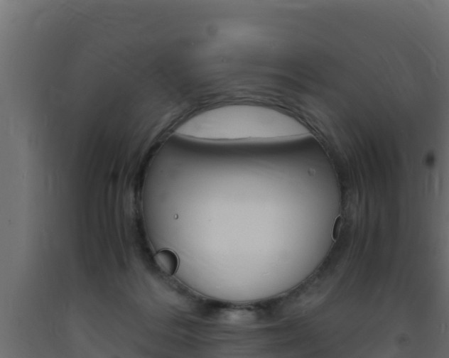 X0000093730220200710160821