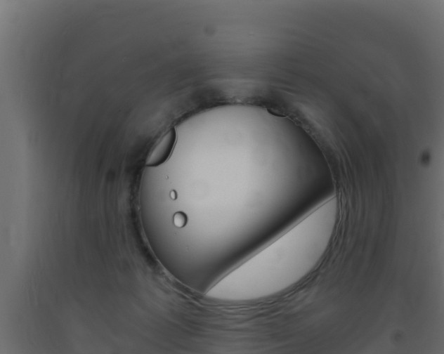 X0000093730221200710160821