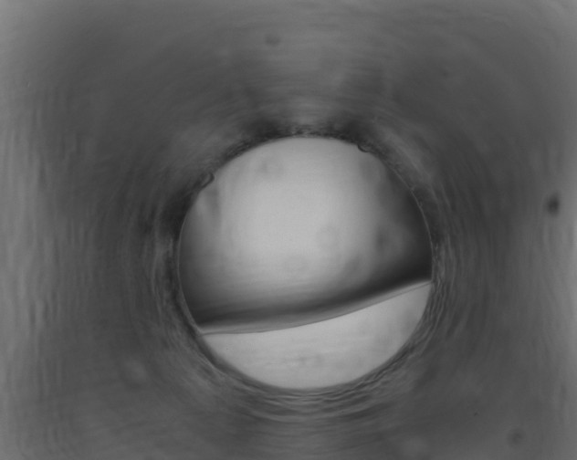 X0000093730225200710160820