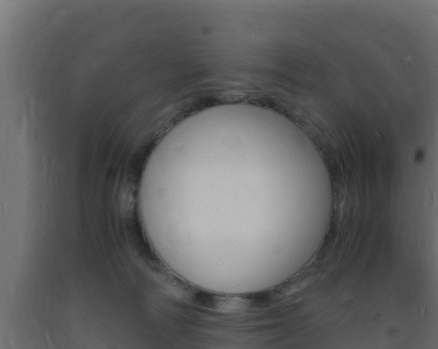 X0000093730226200710160820