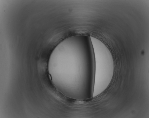 X0000093730227200710160820