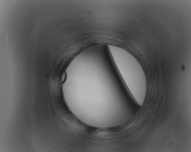 X0000093730228200710160820