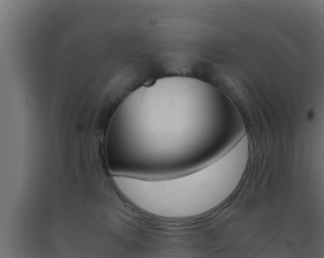 X0000093730229200710160820