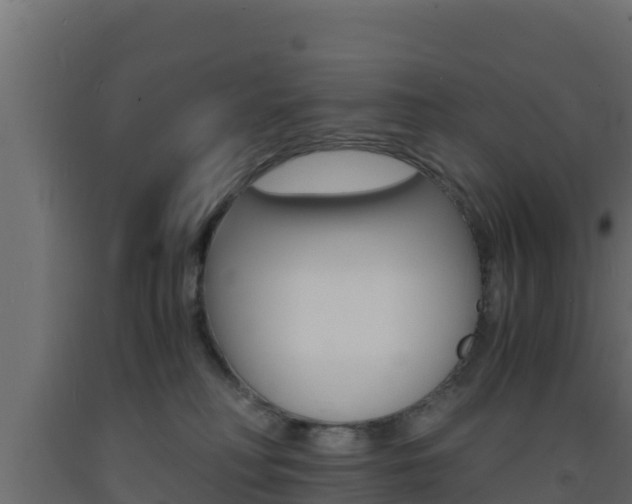 X0000093730230200710160820