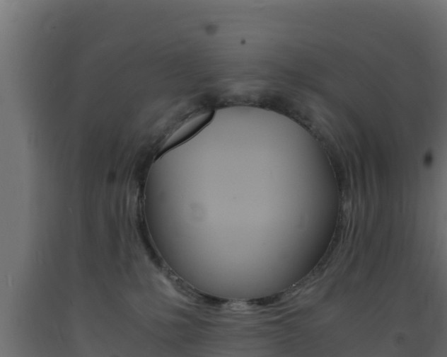 X0000093730231200710160820