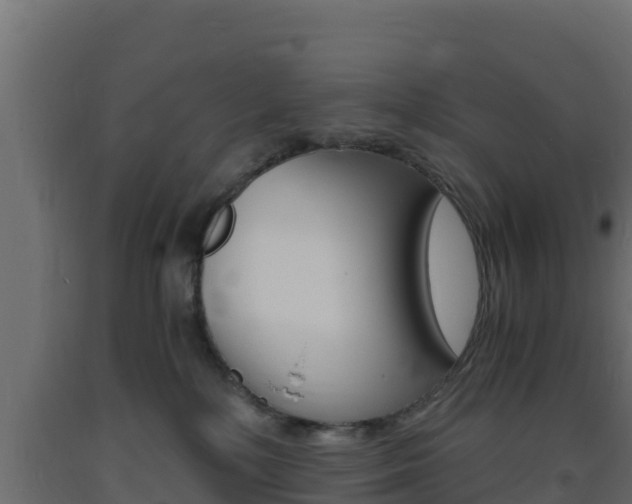 X0000093730232200710160820