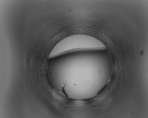 X0000093730233200710160820