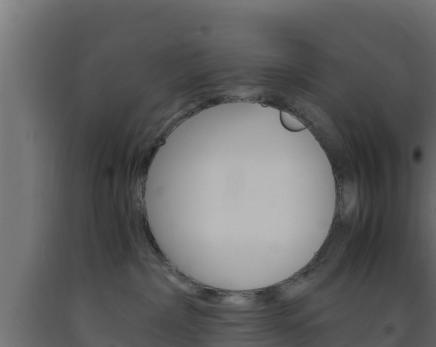 X0000093730236200710160820