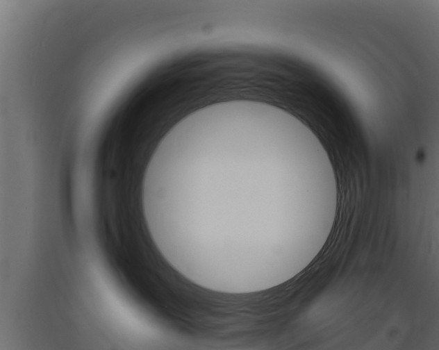 X0000093730239200710160820