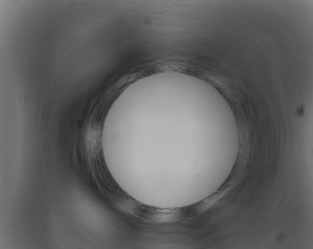 X0000093730240200710160820
