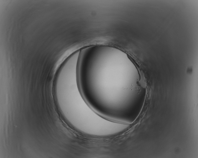 X0000093730244200710160820