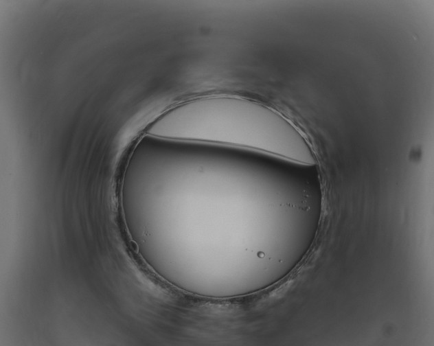 X0000093730245200710160820