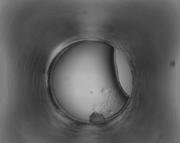 X0000093730246200710160820