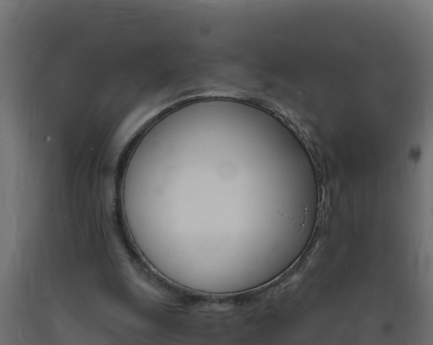 X0000093730247200710160820