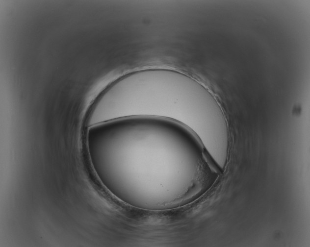 X0000093730248200710160820