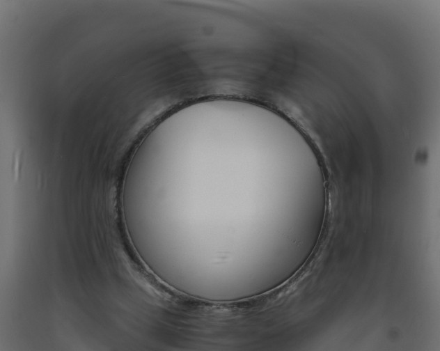 X0000093730249200710160820