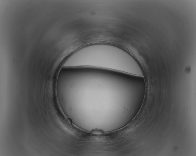 X0000093730250200710160820