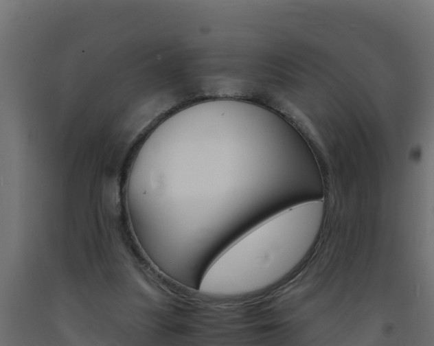 X0000093730251200710160820