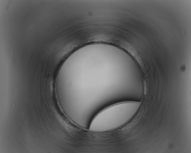 X0000093730253200710160820