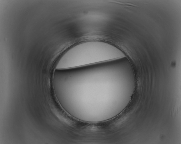 X0000093730254200710160820
