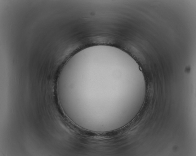 X0000093730255200710160820