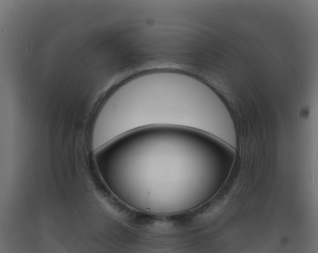 X0000093730256200710160820