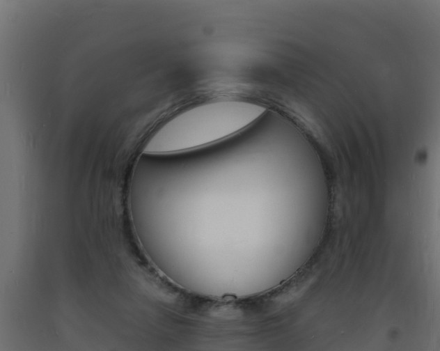 X0000093730258200710160820