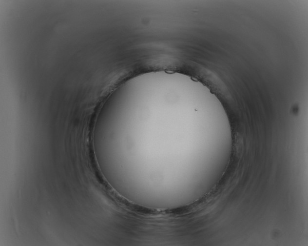X0000093730259200710160820