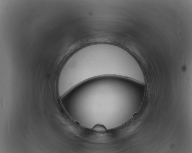 X0000093730260200710160820
