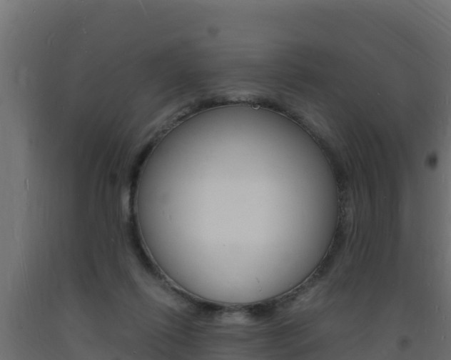 X0000093730262200710160820