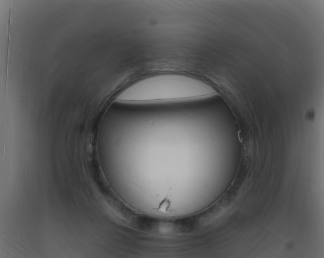 X0000093730264200710160820