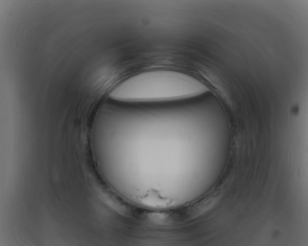X0000093730265200710160820