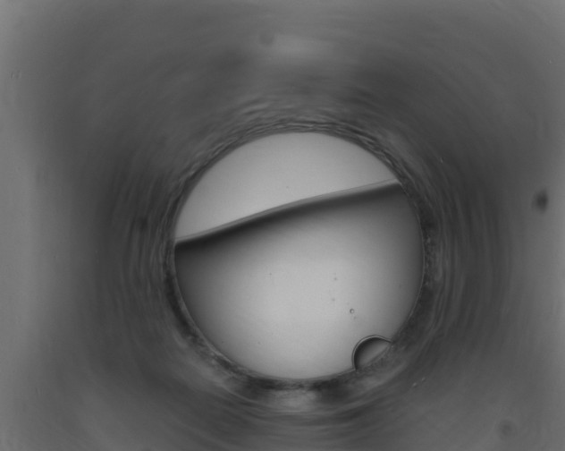 X0000093730266200710160820