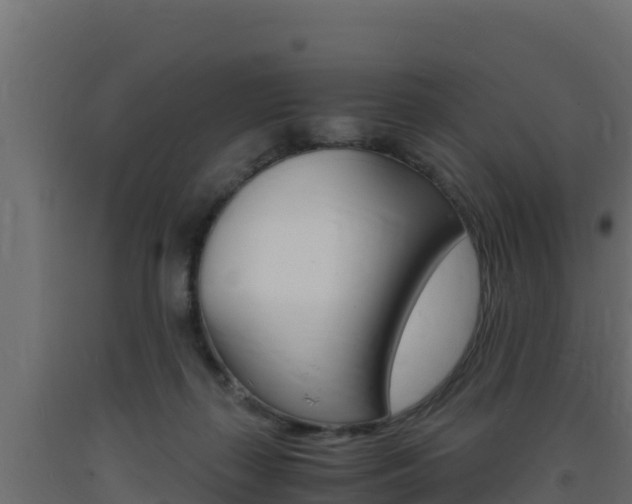 X0000093730267200710160820