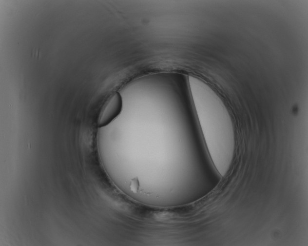 X0000093730268200710160820