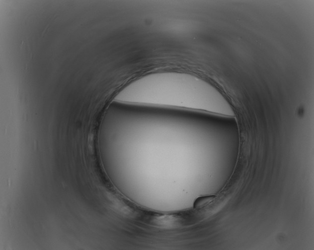 X0000093730269200710160820