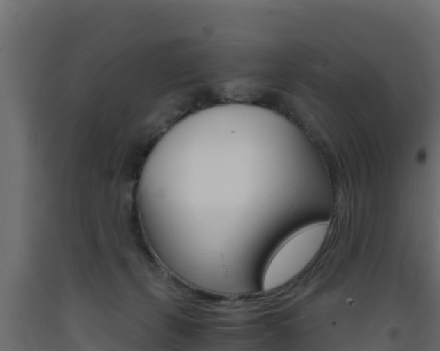 X0000093730271200710160820
