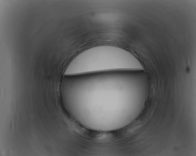 X0000093730274200710160820