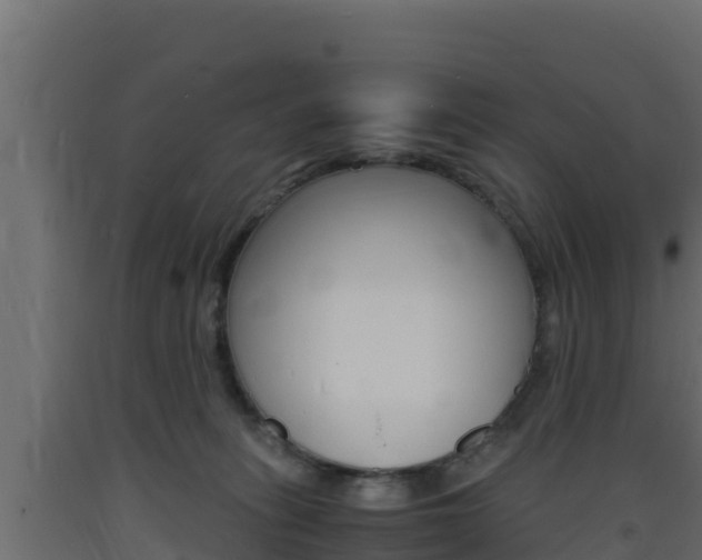X0000093730275200710160820