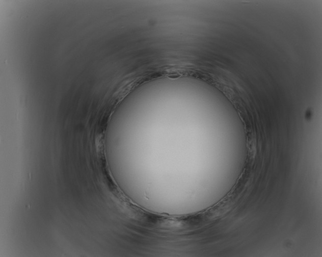 X0000093730276200710160820