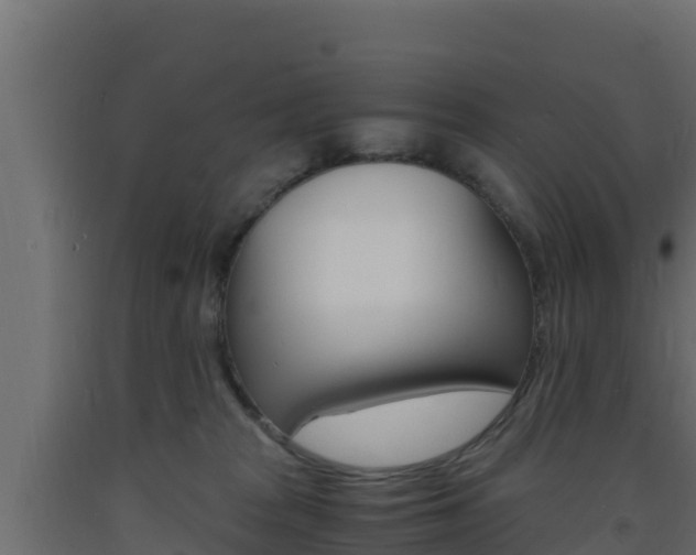 X0000093730277200710160820