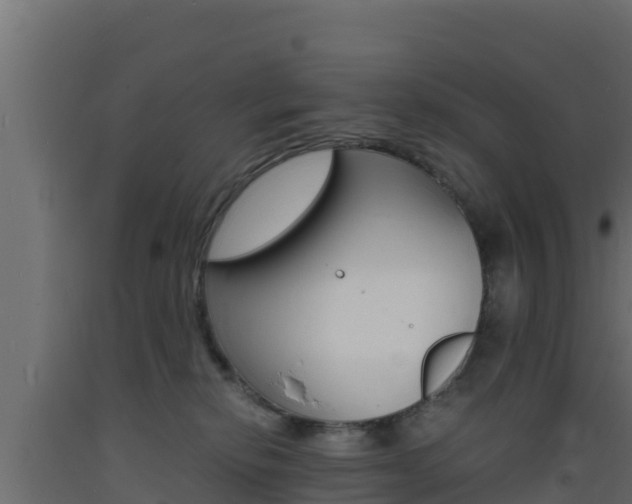 X0000093730278200710160820