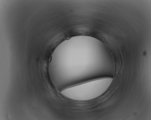 X0000093730279200710160820