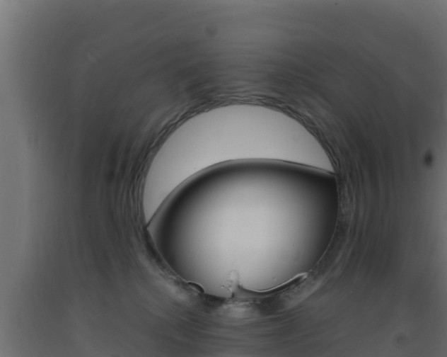 X0000093730280200710160820